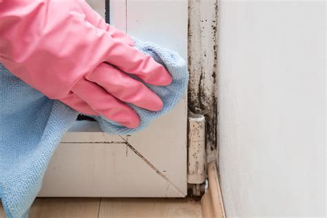 How to Kill Mold on Wood - This Old House