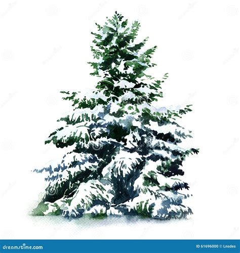 Christmas Tree Covered Snow In Winter, Isolated Stock Illustration ...