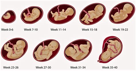 Size 0 In Months