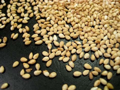Gingelly Seed or Sessame or Til | INDIAN AYURVEDA HERBS