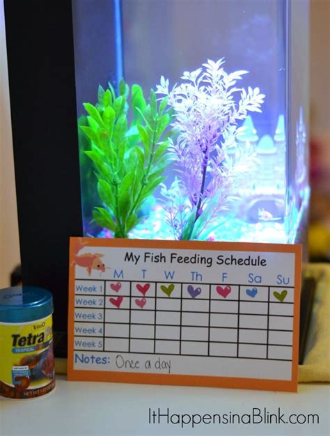 A Fish as a First Pet {and a Fish Feeding Schedule Printable} | Fish, Pets, Schedule printable