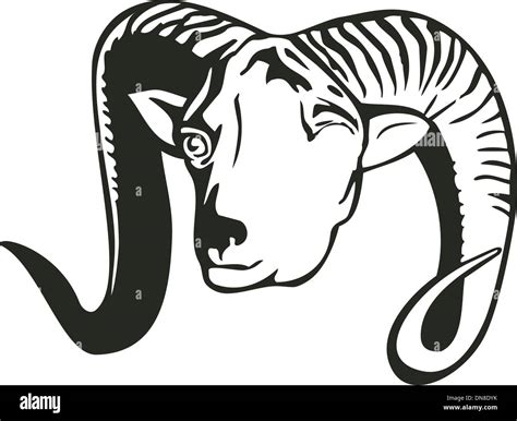 Argali sheep hi-res stock photography and images - Alamy