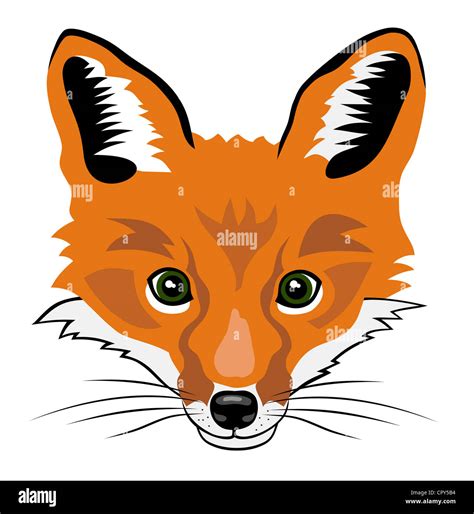 Cartoon Fox Head - Fox Head Stock Images, Royalty-free Images & Vectors ...