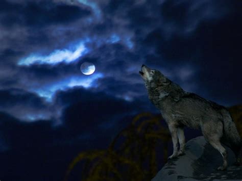 Wolf Moon Wallpaper - WallpaperSafari