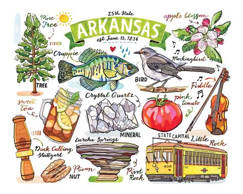 Arkansas Print. the Natural State. - Etsy