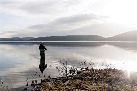 Strawberry Reservoir Fishing | Directions & Reports | Visit Utah