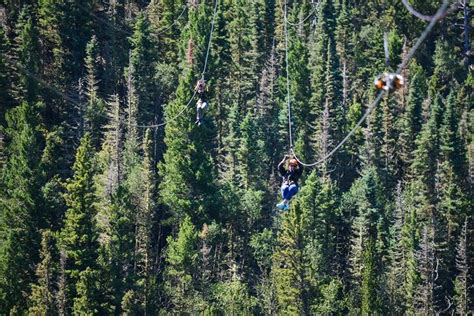 Angel Fire Resort Zipline Adventure Tour Best Zipline Tour In New Mexico