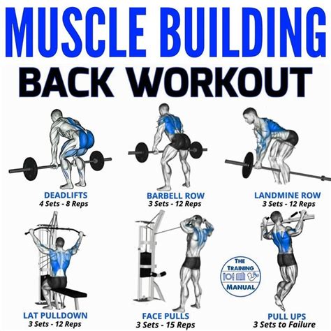 Build A Stronger Thicker Back & More With These 6 Row Variations - GymGuider.com | Back workout ...