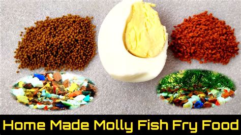 How To Make Molly Fish Fry Food At Home - YouTube