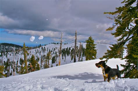 Information about "snow.jpg" on hiking and backpacking - Davis - LocalWiki