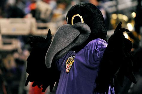 Why Is The Ravens Mascot Named Poe?