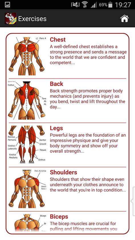 Dumbbell Workout Routine For Effective Muscle Building – Blog Dandk