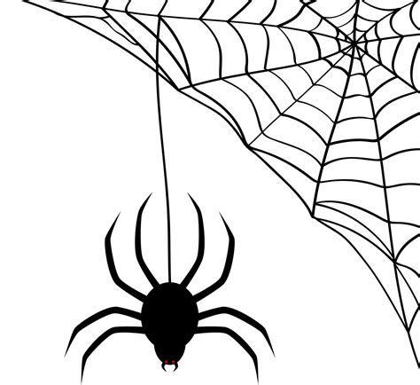 Download Spider, Web, Spider Web. Royalty-Free Vector Graphic - Pixabay