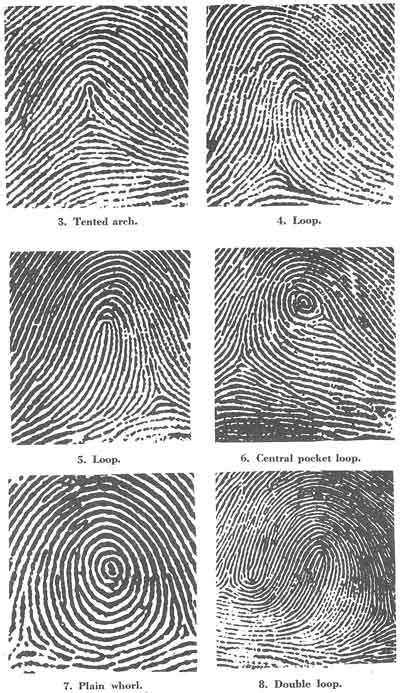 3 Kinds Of Fingerprints - Vactrone