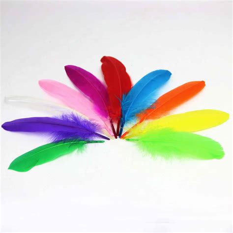 Craft Feathers 10 Pack