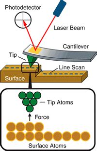 原子間力顕微鏡 Atomic Force Microscope (AFM) | Chem-Station (ケムステ)