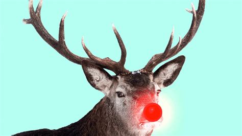 Rudolph The Red Nosed Reindeer Reindeer Games Scene