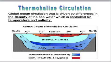 Deep Ocean Currents - YouTube