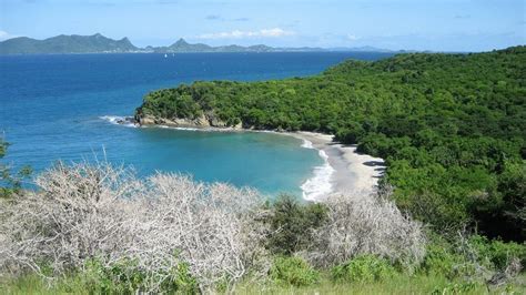 Carriacou Island 2024: Best Places to Visit - Tripadvisor