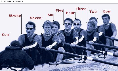 BBC Sport - Rowing - How the eight works