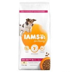 Iams Senior Dog Food