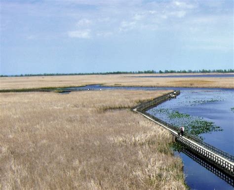 Point Pelee National Park