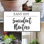 The Best DIY Succulent Planter Ideas - The Kitchen Garten