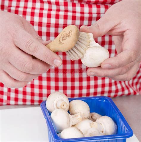 Woman Cleaning Mushrooms with Vegetable Brush. Stock Photo - Image of cooking, white: 37495906