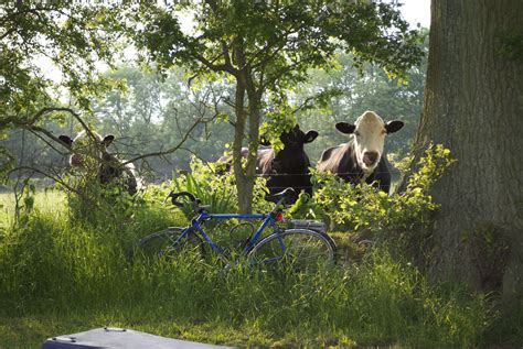 Campsites in the Shropshire Hills AONB