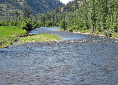 Rock Creek in Montana | Detailed Fly Fishing & Floating Guide