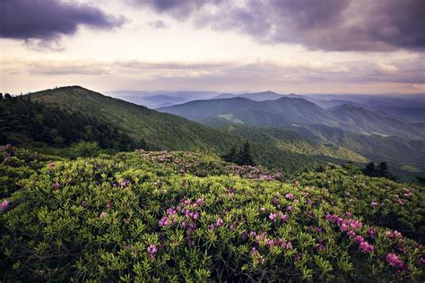 The 10 Best State Parks In Tennessee