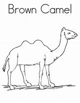 Free Printable Camel Coloring Pages For Kids sketch template