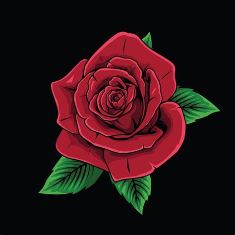 Beautiful collection of Red rose black background Images and videos