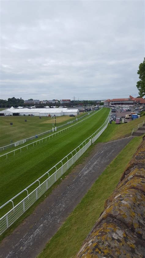 Chester Racecourse (With images) | Chester racecourse, Racecourse, Soccer field