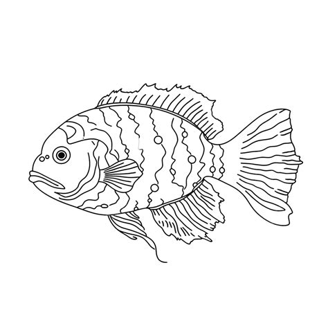 Fish Sea Animal With Fins Doodle Linear Cartoon Coloring Book, Fish Tail, Funny Cartoon, Fin PNG ...