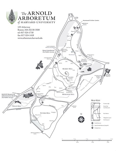 Arnold Arboretum - eBird Hotspots