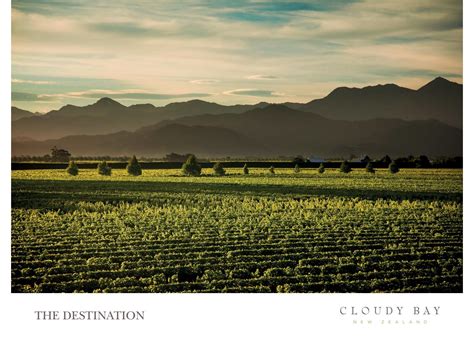 Cloudy Bay - Destination Catalogue - Public by Cloudy Bay Vineyards - Issuu