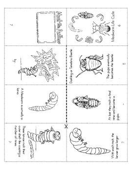 the worksheet is filled with pictures of different animals