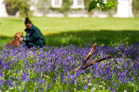 Hertfordshire weather: More sun and high heat expected for Bishops ...