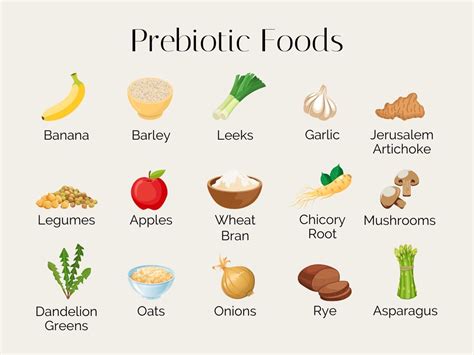 15 Prebiotic Foods for Gut Health - Stephanie Kay Nutrition