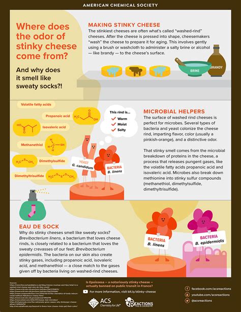 Infographics - American Chemical Society