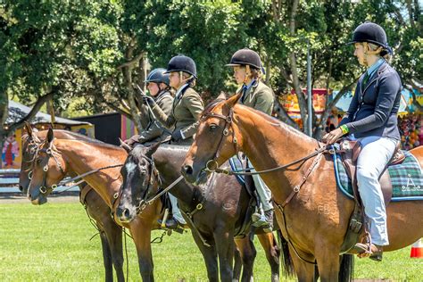 Horse Competition - Nowra Show Society