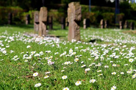 DNA collected from slave skeletons interred in unmarked 18th-century burial ground reveals their ...