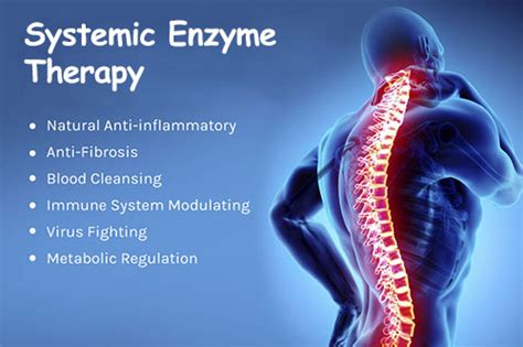 Best Systemic Enzymes on the Market - #1 Whole Body Healing