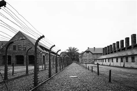 auschwitz 1, auschwitz, poland, the holocaust, camp, museum, the jews, memorial, unesco, fence ...