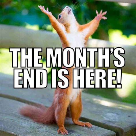 21 Best End Of The Month Memes To Finish Well With A LOL