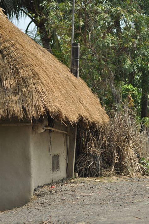 Free photo "Village Hut India"