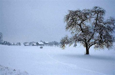 🔥 [50+] Wisconsin Winter Wallpapers | WallpaperSafari