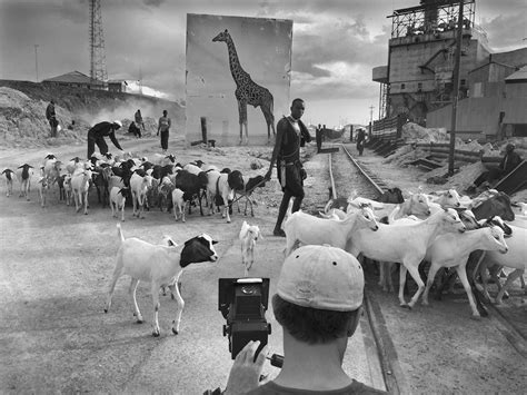 Photography: INHERIT THE DUST, China by Nick Brandt - 谷德设计网