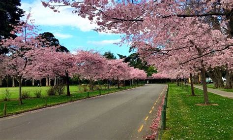 Palmerston North, New Zealand 2024: Best Places to Visit - Tripadvisor